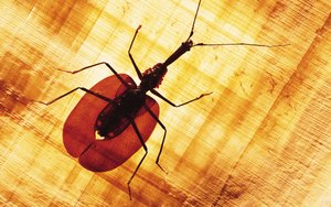 建平縣除草劑有限責任公司