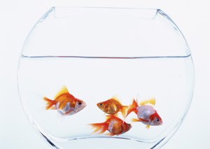 岫巖滿族自治縣電熱膜有限責任公司