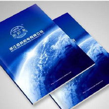 圖冊(cè)樣本價(jià)格 圖冊(cè)樣本批發(fā) 圖冊(cè)樣本廠家 